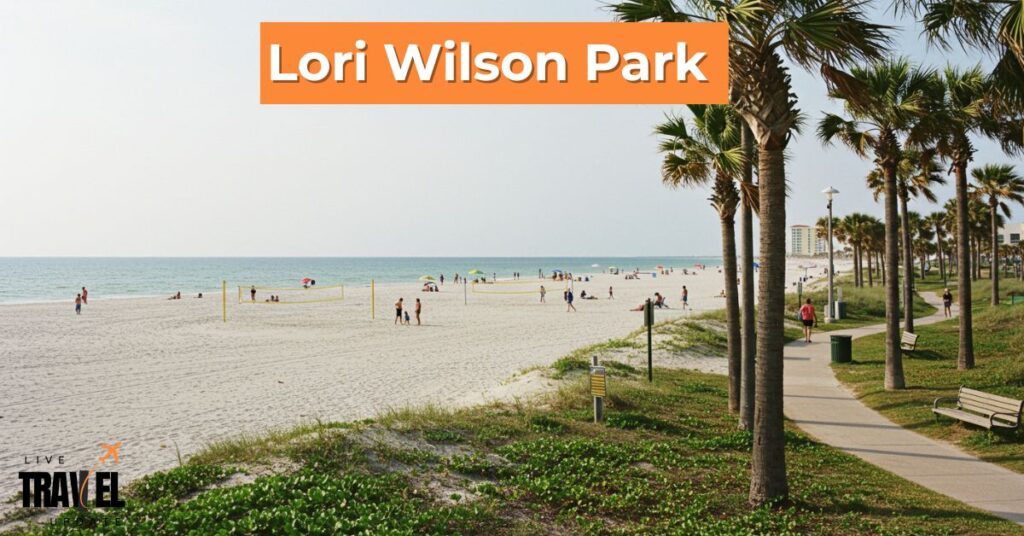 lori wilson park