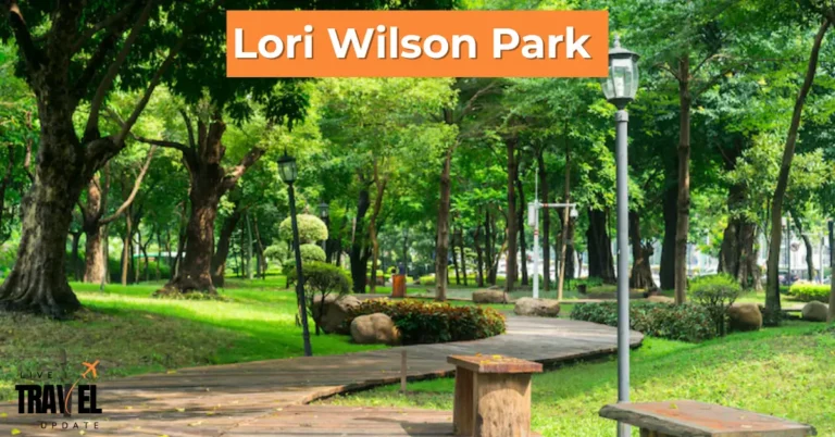 lori wilson park