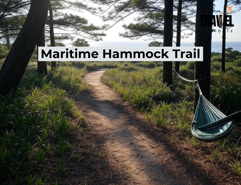 maritime hammock trail